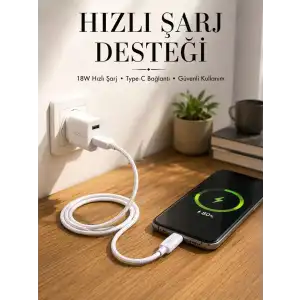 AsilTech Type-C Girişli Cihazlar İçin Şarj Kablosu