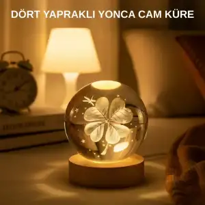 AsilTech USB Bağlantılı Yonca Bitkili Cam Küre Ahşap Altlıklı Dekoratif Lamba