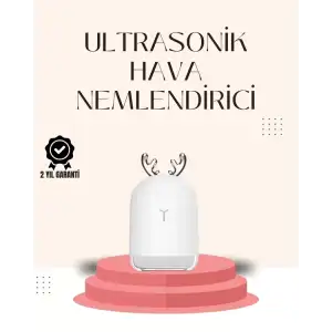 AsilTech USB Şarjlı Mini USB Nemlendirici LED Işıklı Masaüstü Cihaz