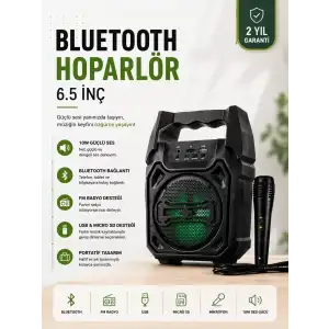 AsilTech Yeni Nesil 6.5 İnç Bluetooth Hoparlör Mikrofonlu Taşınabilir Ses Sistemi