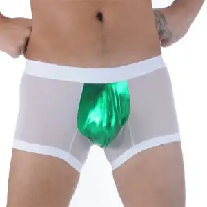 Giyim  Br291109 Transparan Boxer