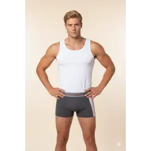 Giyim Erkek  Modal Boxer 1080