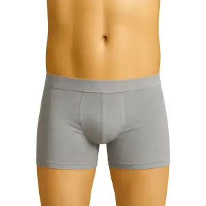 Giyim Gri Mı Emay 6800 Erkek Boxer