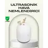 AsilTech ABS+PP Malzemeli Taşınabilir 220 ml USB Mist Nemlendirici
