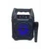 AsilTech 10W Güçlü Ses Performanslı Bluetooth Karaoke Hoparlörü
