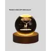 AsilTech 3D Geyik Desenli Kristal Küre USB Işıklı Ahşap Tabanlı Oda Lambası