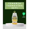 AsilTech Ateşe Dayanıklı Tornavida Seti Elektronik Tamir İçin Çok Uçlu