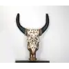 AsilTech Duvara Asmalı Bufalo Kafası