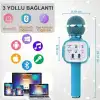 AsilTech Eğlenceli Karaoke Mikrofonu - Çocuklar İçin