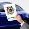 AsilTech Fulcar Kedi Tasarımlı Araç Stickerı