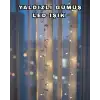 AsilTech Gümüş Yaprak Tasarımlı LED Işık Pilli Ev ve Vitrin Dekoru