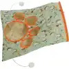 AsilTech Hışırtılı Kedi Oyun Tüneli Çantası
