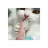 AsilTech Kedi Köpek Diş Temizleme Fırçası