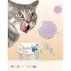 AsilTech Kedi Lolipopu Ödül 15 Adet