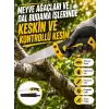 AsilTech Kılıflı Budama Bahçe Testeresi 270 mm Düz Bıçaklı