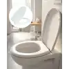 AsilTech KLOZET KAPAĞI