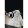 AsilTech Otomatik Tuşlu Kendini Temizleyen Kedi Köpek Tarağı