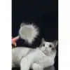 AsilTech Otomatik Tuşlu Kendini Temizleyen Kedi Köpek Tarağı