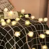 AsilTech Ponpon Led  5 Metre