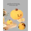 AsilTech Pumpkin LED Gece Lambası Üç Kademeli Işık Ayarlı