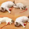 AsilTech Şarjlı Kedi Oyuncağı