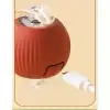 AsilTech Şarjlı Kedi Oyuncağı