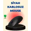 AsilTech Sessiz ve Ergonomik Mouse – USB Bağlantılı ve DPI Ayarlı