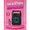 AsilTech Taşınabilir 6.5” Bluetooth Hoparlör USB TF Kart Mikrofonlu Şarjlı Sistem