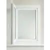 AsilTech TEK KANATLI SİNEKLİK