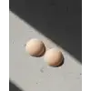 AsilTech Tekrar Kullanılabilir Silikon Nipple Pad Gün Boyu Sabit