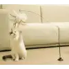 AsilTech Vantuzlu Tüylü Zilli Kedi Oyun Oltası