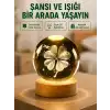 AsilTech Yonca Figürlü Cam Küre USB Işıklı Ahşap Tabanlı Dekoratif Masa Lambası