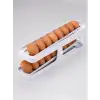 AsilTech YUMURTA DÜZENLEYİCİ