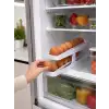 AsilTech YUMURTA DÜZENLEYİCİ