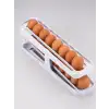 AsilTech YUMURTA DÜZENLEYİCİ