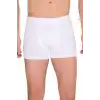 Giyim Berrak Erkek  Modal Boxer  4476