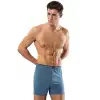 Giyim Erdem Erkek  Penye Boxer 1400