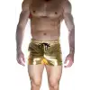 Giyim Erkek Gold Lame Short