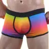 Giyim Renkli Erkek  Boxer
