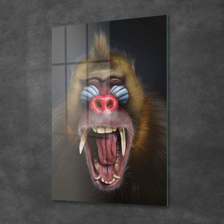 Decovetro Cam Tablo Eğlenceli Maymun 50x70 cm