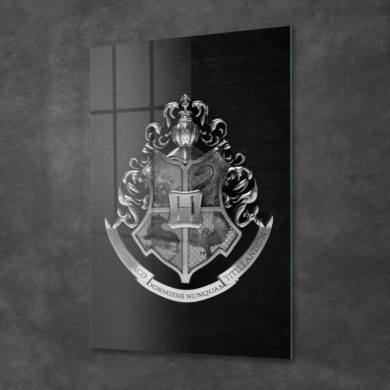 Decovetro Cam Tablo Harry Potter Hogwarts Logo 70x100 cm