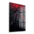 Decovetro Cam Tablo Castlevania Alucard 30x40 cm