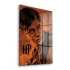 Decovetro Cam Tablo Harry Potter Poster 30x40 cm