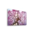 Decovetro Cam Tablo Renkli Ağaç Manzarası 30x40 cm