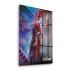 Decovetro Cam Tablo Spider-Man 30x40 cm