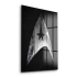 Decovetro Cam Tablo Star Trek Logo 30x40 cm