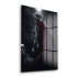 Decovetro Cam Tablo Thor 30x40 cm