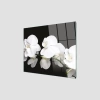 Decovetro Ocak Arkası Koruyucu Beyaz Orkide Desenli 60x52cm