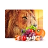 Decovetro Cam Kesme Tahtası Aslan Desenli 20x30 Cm