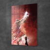 Decovetro Cam Tablo Flying Michael Jordan 50x70 cm